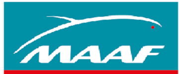 maaf (1)